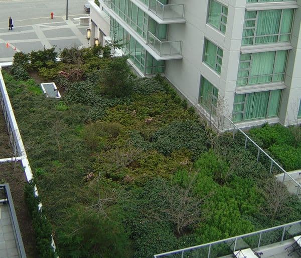 Green Building & Sustainability